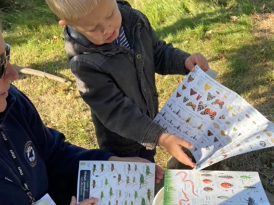 An adult staff member wearing a lanyard and a child look at a large illustrated butterfly and insect guide outdoors on grass.