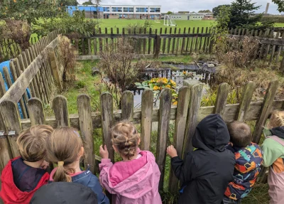 Group of children in colorful jackets leaning on a weathered wooden fence, looking at a pond with water lilies; school building and grassy field in the background.